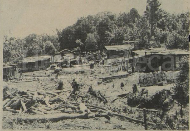 El Nuevo Palmar comenzó a construirse con gran sacrificio de las primeras 224 familias en la finca Las Marías. Fotografía del 4/7/1983. (Foto: Hemeroteca PL)