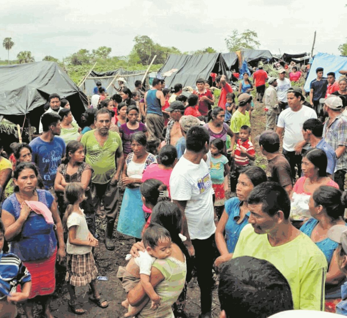 Una porción de tierra, en la Biosfera Maya que se encontraba invadida por campesinos, fue recuperada por personal de la Policía Nacional Civíl y militare. (Foto Prensa Libre: Hemeroteca)