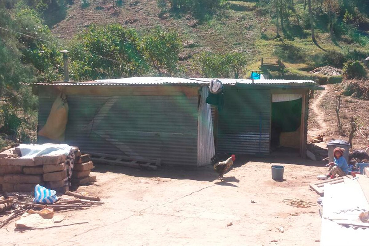 Familias construyeron casas temporales con láminas y madera porque el Gobierno les ofreció una vivienda formal. Sin embargo, las autoridades no han cumplido. (Foto Prensa Libre: Whitmer Barrera)