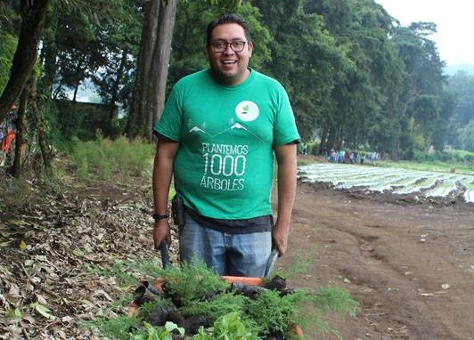 Los árboles son plantados en reservas naturales y parques. (Foto Prensa Libre: Cortesía).