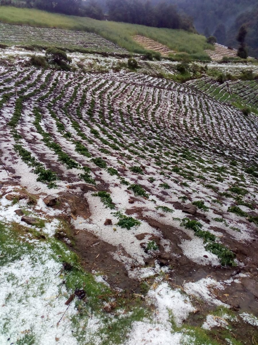 En sectores de Palestina de Los Altos y Sibilia, Quetzaltenango, se reporta una granizada. (Foto Prensa Libre: Cortesía Conred)