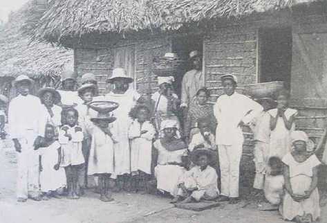 GRUPO DE GARÍFUNAS en Lívingston. William Brigham, 1887