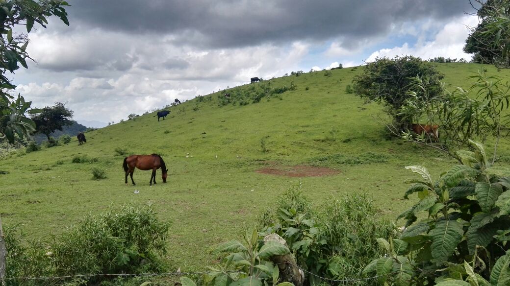 Propietarios de tierras planean aprovechar paisajes y promover el turismo local. (Foto Prensa Libre: Edwin Pitán)