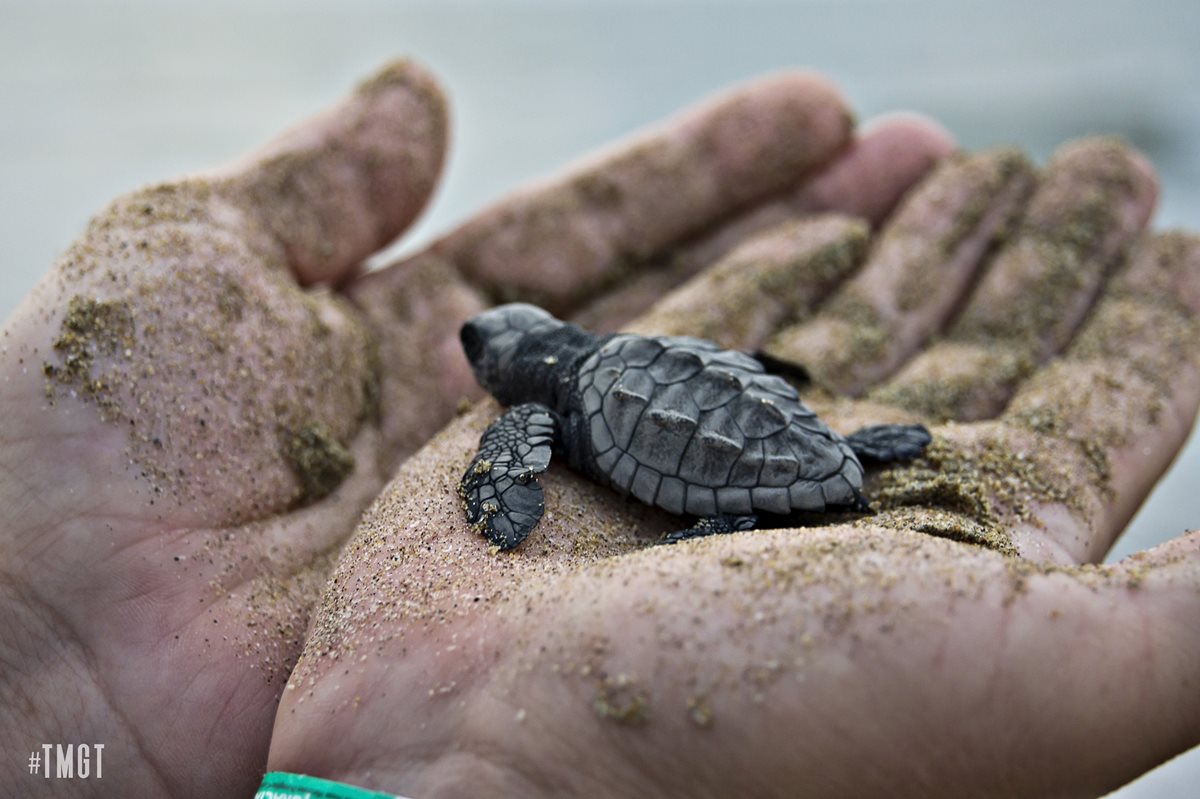 Las personas que participan tienen la oportunidad de compartir con la naturaleza. (Foto Prensa Libre: Cortesía Trotamundos Gt).