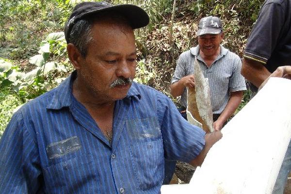 Un empleado municipal  muestra uno de los tubos rotos por los malhechores.