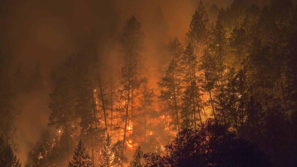 Los bomberos tardaron una semana en extinguir los incendios en Arizona. (Foto: Hemeroteca PL)