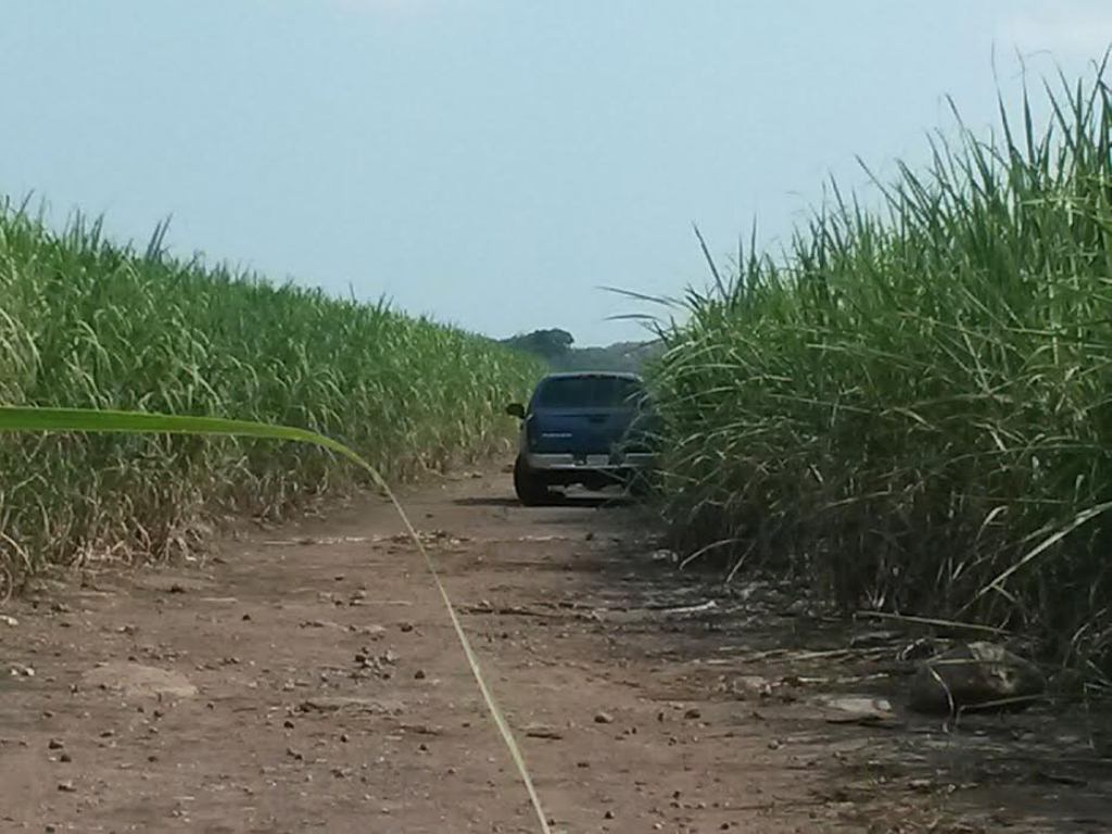 Lugar donde fue localizado el picop, en Escuintla. (Foto Prensa Libre: Enrique Paredes)