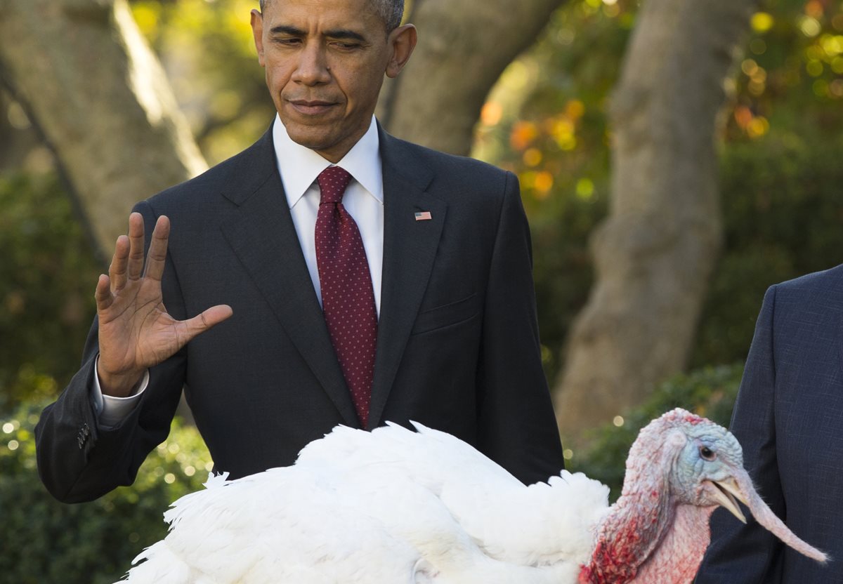 Obama le perdonó la vida a un pavo este miércoles. (Foto Prensa Libre: AP).