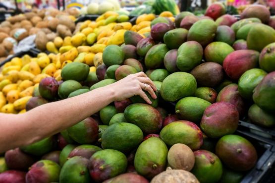 Los mangos se producen en numerosas latitudes. GETTY IMAGES