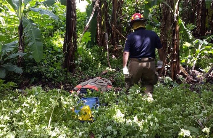 Un bombero municipal de Villa Nueva cubre el cadáver de Manuel Baten, atacado por una colonia de abejas. (Foto Prensa Libre: Asonbomd)