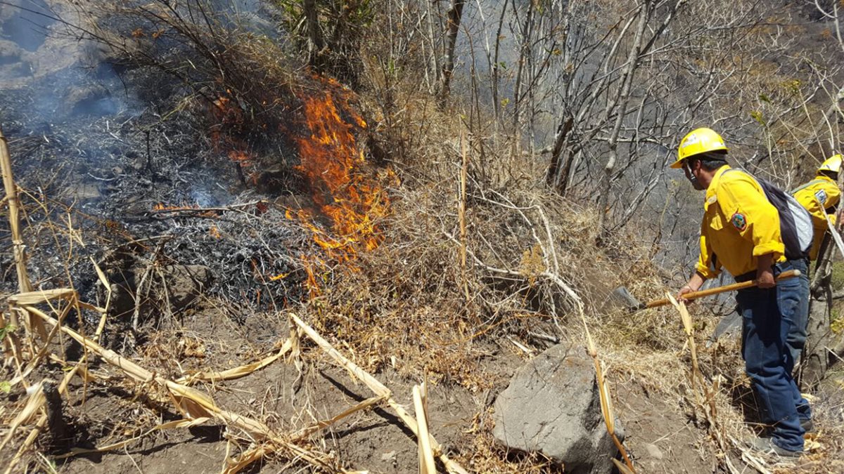 Socorristas controlan el incendio registrado en el área conocida como La Cristalinas. (Foto Prensa Libre: Ángel Julajuj)