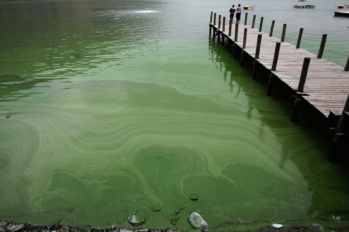 Contaminación en el Lago de Amatitlán. (Foto Prensa Libre: Hemeroteca PL).