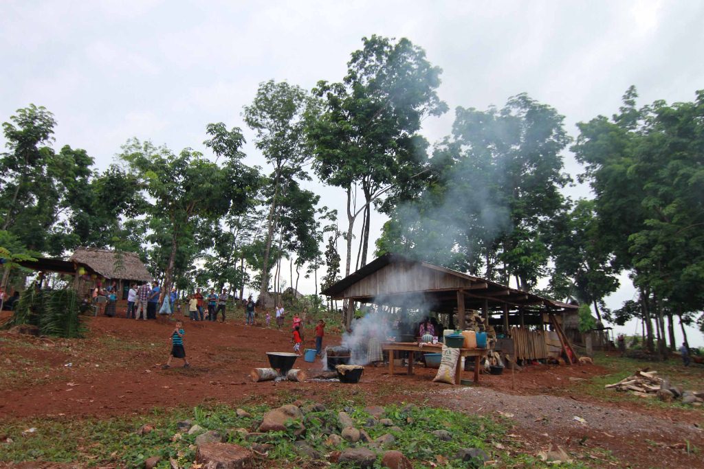 Parte de los terrenos que recuperaron las familias en Panzós, Alta Verapaz. (Foto Prensa Libre: EFE).