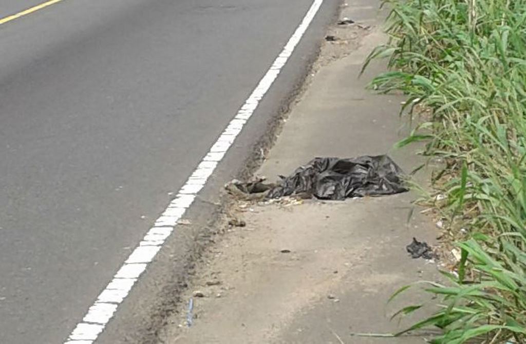 El mono araña fue localizado muerto dentro de una bolsa plástica en el kilómetro 161.5, jurisdicción de Mazatenango, Suchitepéquez. (Foto Prensa Libre: Melvin Popá)