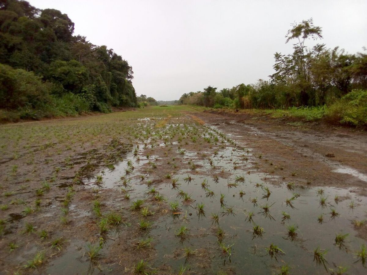 Una pista clandestina fue localizada en El Corozo, Lívingston, Izabal. (Foto Prensa Libre: Cortesía)