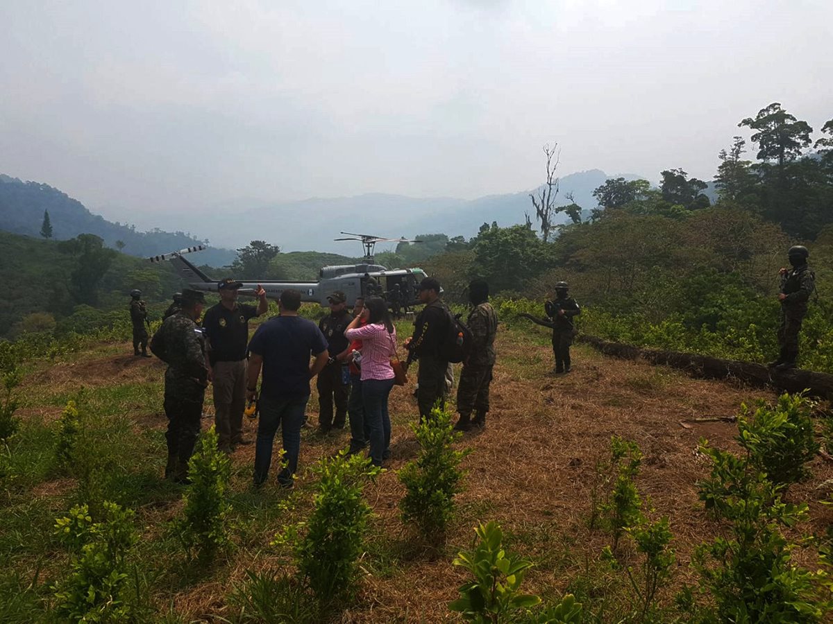 Autoridades inspeccionan el área del hallazgo de las plantaciones de coca en Honduras. (Foto Prensa Libre: AFP)