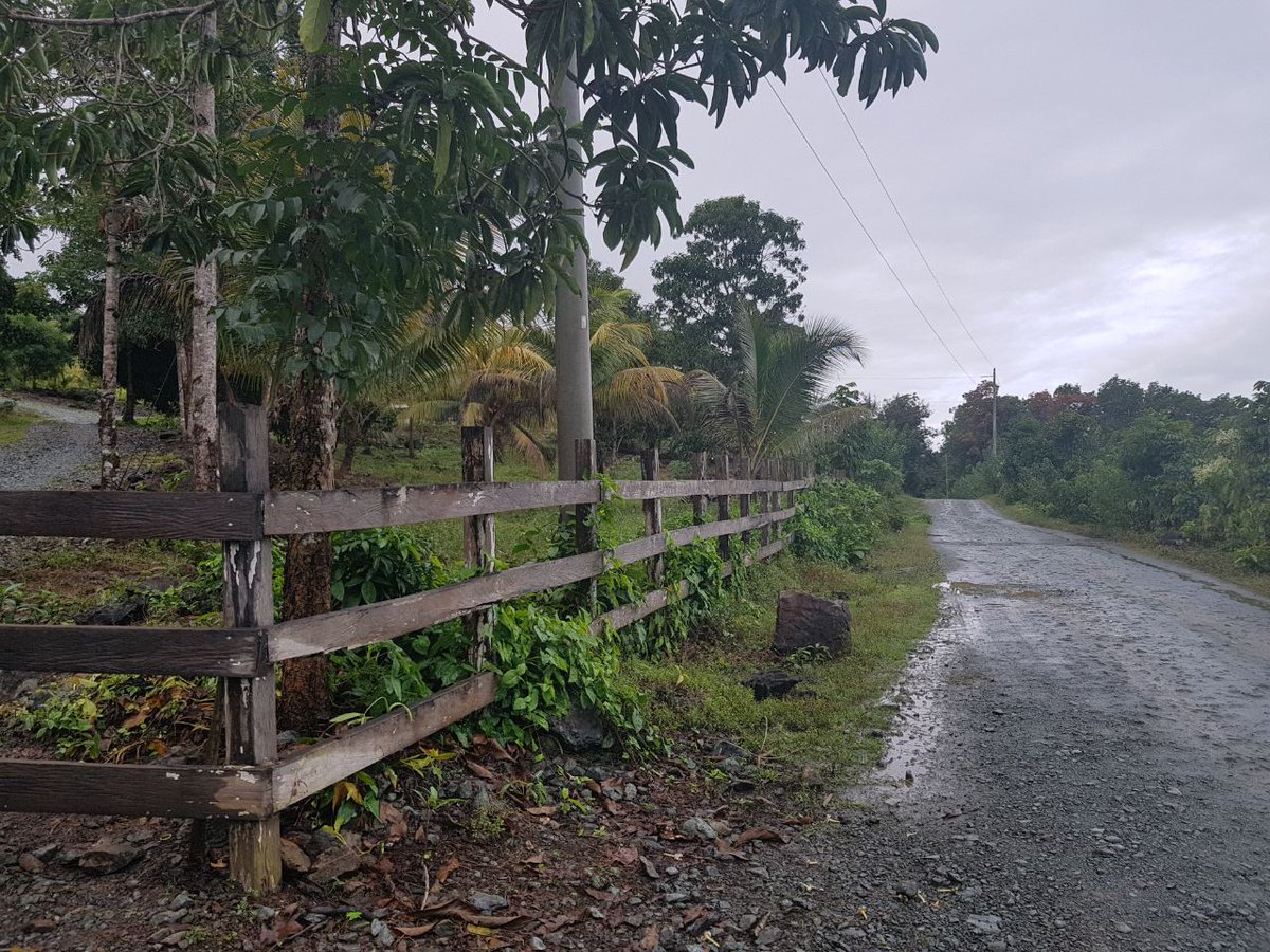 Una finca vinculada al expresidente Otto Pérez Molina en Lívingston, Izabal, pudiera ser extinguida a favor del Estado. (Foto Prensa Libre: MP)