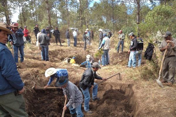 hombres excavan   en terreno municipal.