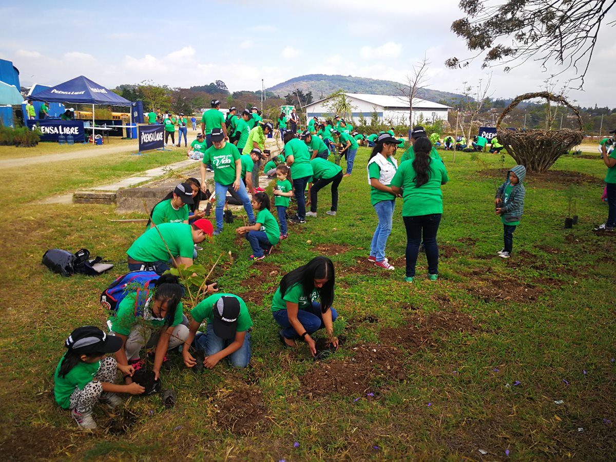 Docientos árboles fueron sembrados en el parque Érick Barrondo.(Foto Prensa Libre: José Patzán)