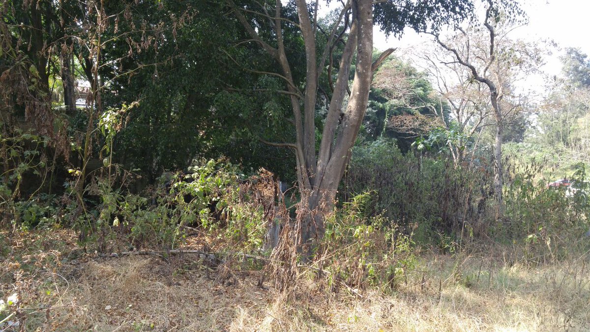 Las fincas relacionadas con la ex vicepresidenta Roxana Baldetti colindan con una vivienda en residenciales Los Eucaliptos, Santa Catarina Pinula. (Foto Prensa Libre: MP)