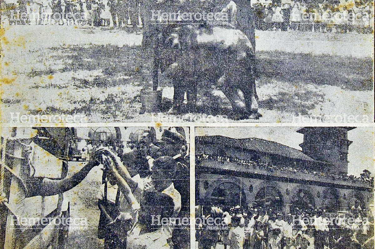 Llegada de “La Mocosita” a Guatemala procedente de la India, el 30 de marzo de 1957. Foto: Hemeroteca PL