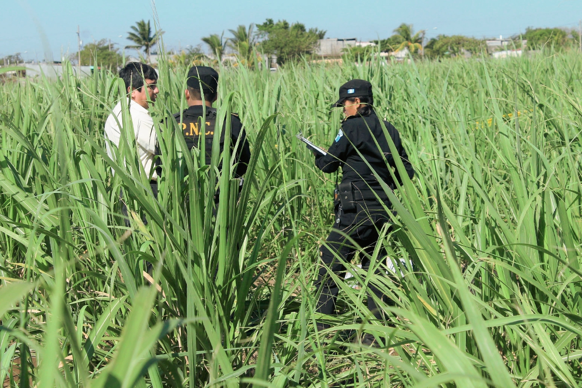 Agentes de  la PNC examinan el lugar en donde hallaron el cadáver de un transportista, en la cabecera de Escuintla. (Foto Prensa Libre: Carlos Paredes)