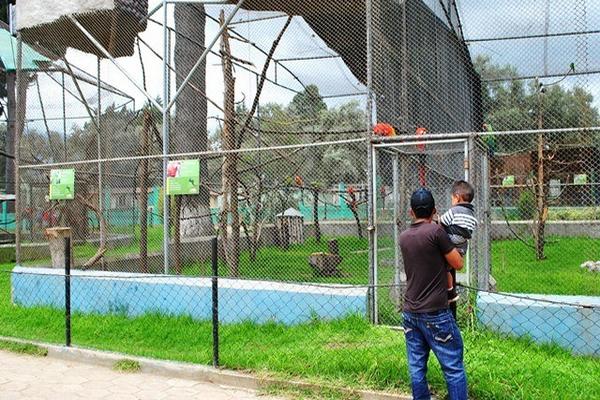 Aunque el león y el jaguar del Zoológico Minerva son los más visitados, las aves también tienen atractivo para muchos. (Foto Prensa Libre: Alejandra Martínez)