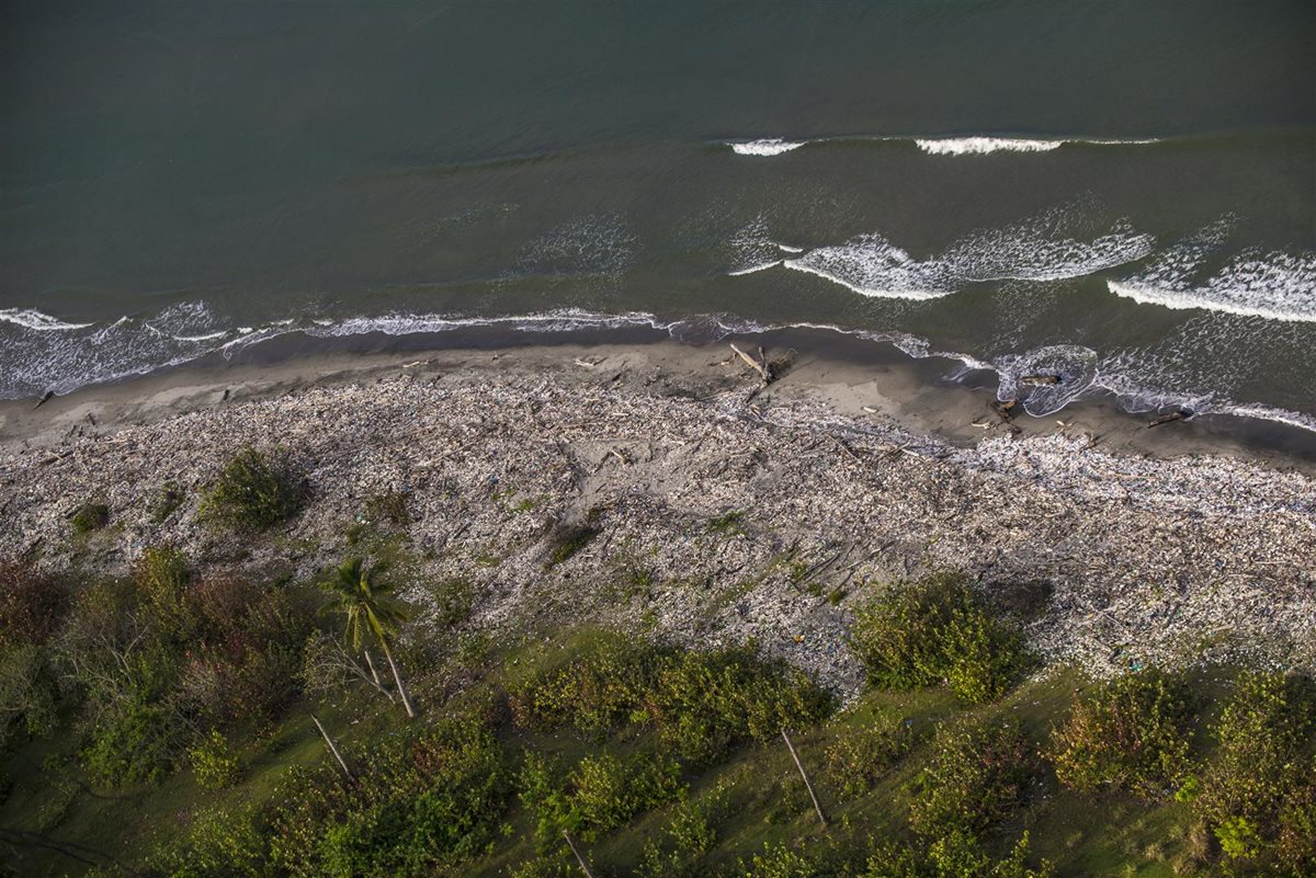 Miles de toneladas de plástico llegan cada año al mar. (Foto Prensa Libre: Cortesía Sergio Izquierdo)