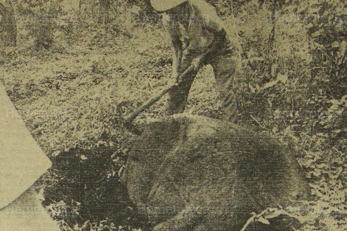 Decubrimiento en Escuintla de efigies de origen olmeca. (Foto: Hemeroteca PL)