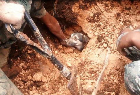 Soldados rescataron a perro que pasó 18 horas bajo la tierra del deslave ocurrido en San Pedro Necta. (Foto Prensa Libre: Mike Castillo)