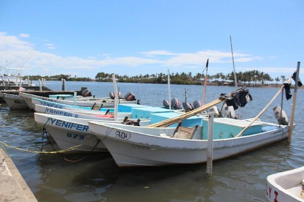 Pescadores artesanales aseguran que ha bajado producción.