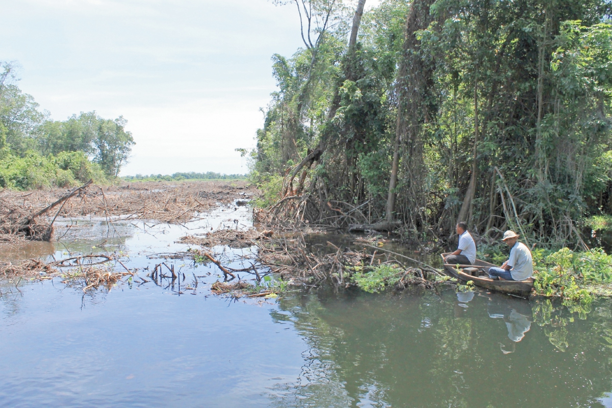 Manglares deforestados en el canal de Chiquimulilla.