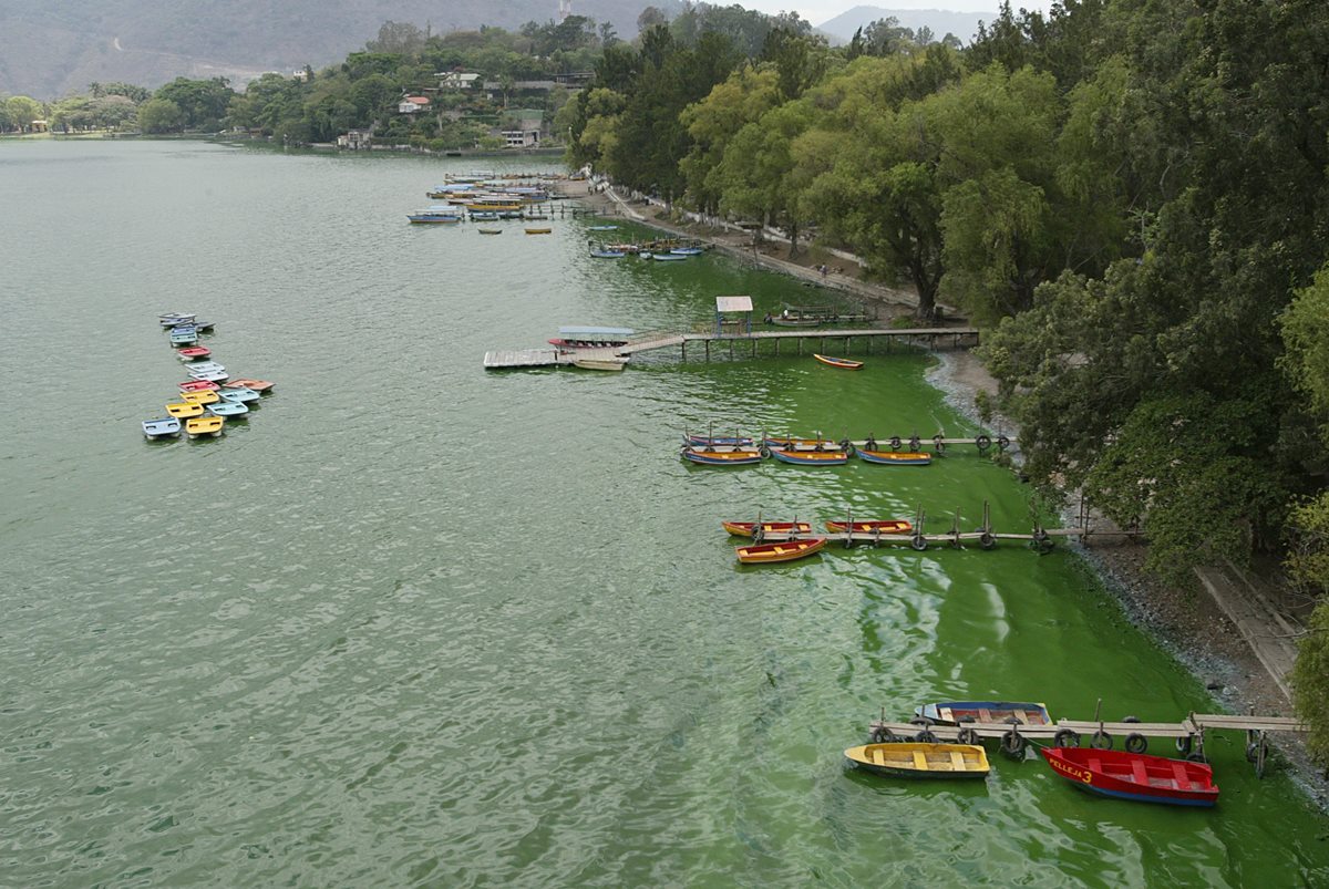 Amsa firmó dos contratos por Q137.8 millones para el saneamiento del lago con una empresa israelí. (Foto Prensa Libre: Hemeroteca PL)