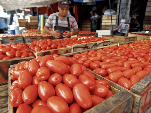 El tomate fue el principal producto que disparó la inflación a 5.22% en julio, reportó el índice de precios al consumidor. (Foto Prensa Libre: Hemeroteca)