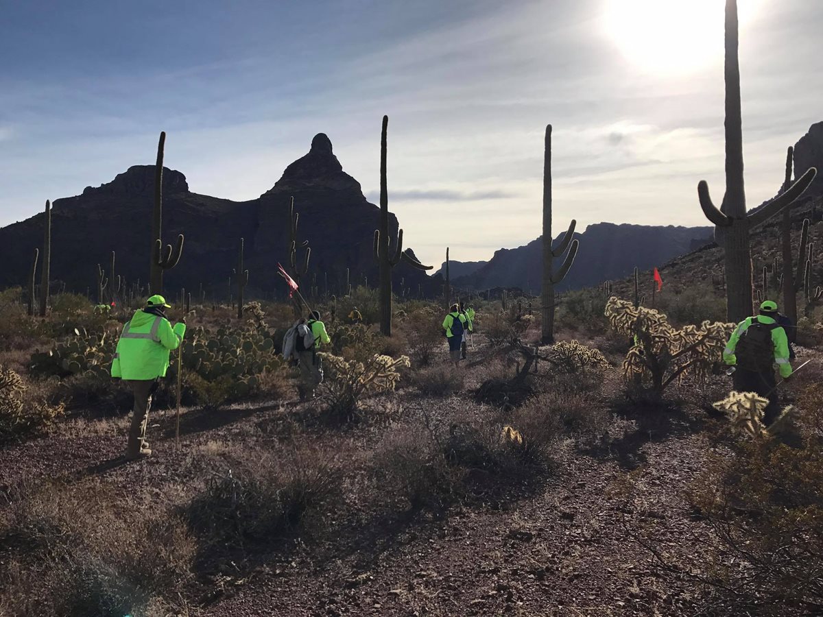 Grupo de voluntarios en plena búsqueda de desaparecidos. (Foto: Facebook/Águilas del Desierto)