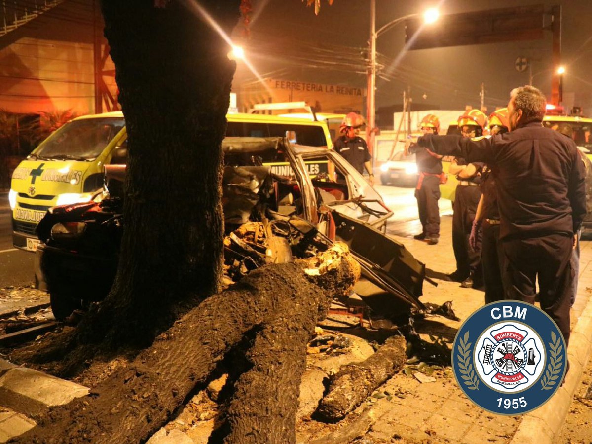 El vehículo se estrelló contra un árbol en el arriate central de la calzada.