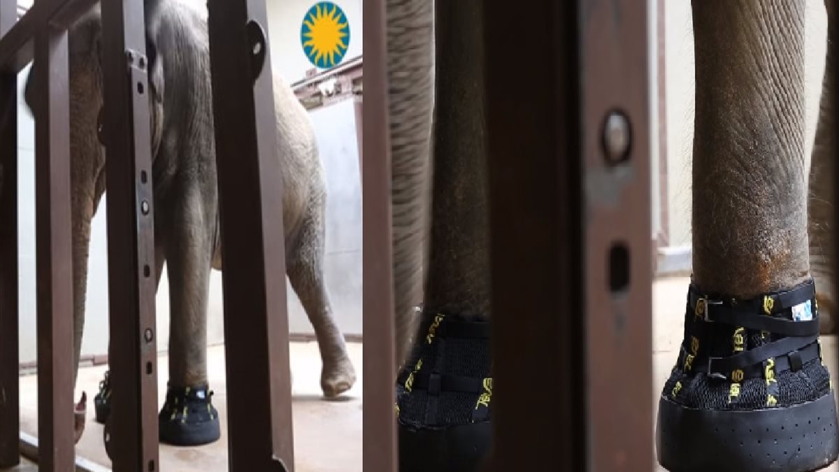 Shanthi, de 41 años, recibió un par de botas para lidiar con la artritis. (Foto Prensa Libre: AP)