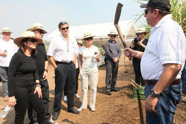 Gloria y Emilio  Estefan, en el ingenio Tulula, donde se cultiva la caña de azúcar para elaborar los rones de Industrias Licoreras de Guatemala.