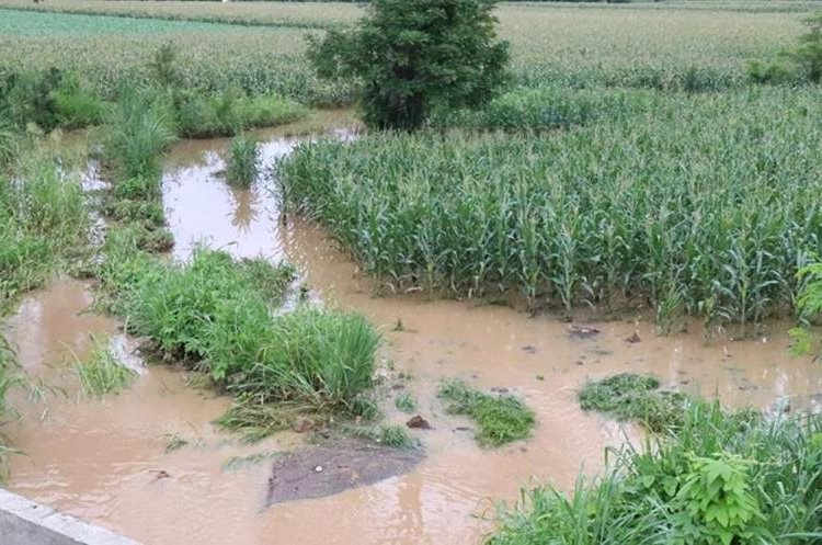 Un estudio que duró seis años reveló cuáles son los lugares más vulnerables a inundaciones en la costa sur. (Foto Prensa Libre: Hemeroteca PL)