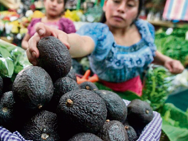 Altos precios de aguacate se evidenciaron en mercados cantonales.