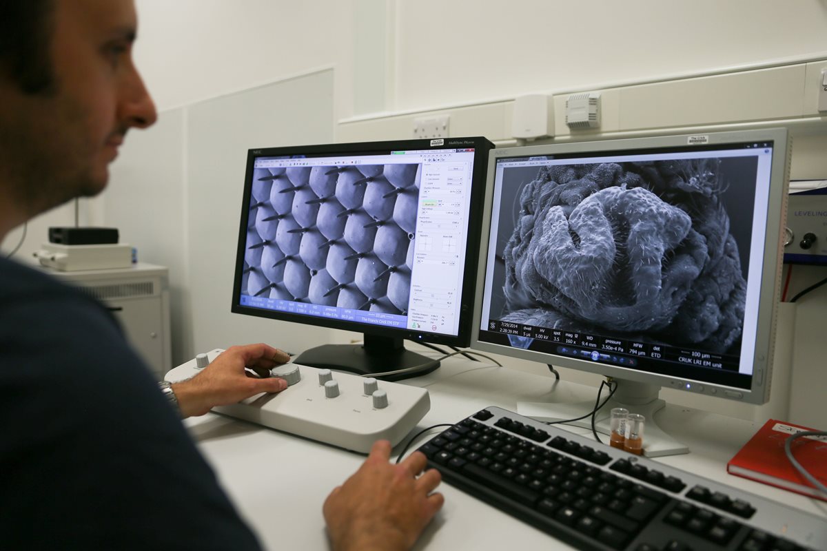 Un científico estudia modificaciones del ADN en el Instituto Francis Crick de Londres. (Foto Prensa Libre: AFP).