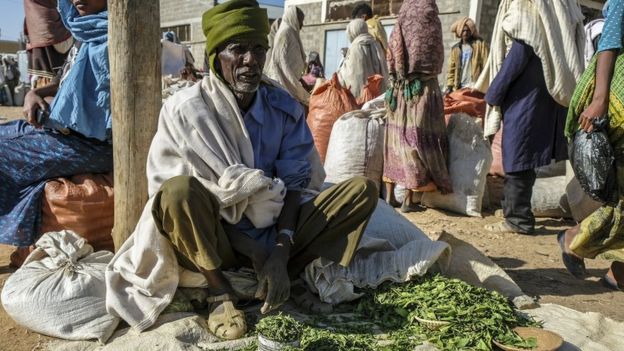 Masticar hojas de Khat causa efectos que algunos dicen son comparables a beber café fuerte. GETTY IMAGES