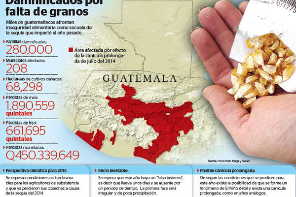 Infografía damnificados por falta de granos.<br _mce_bogus="1"/>