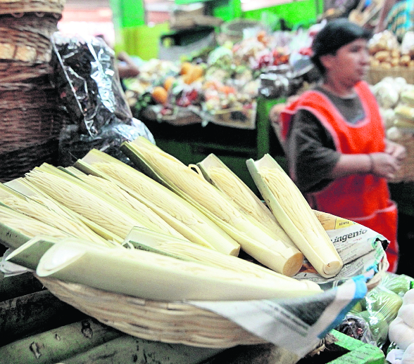 Inflorescencia de palma es un alimento en esta época del año. (Foto Prensa Libre: Álvaro Interiano)