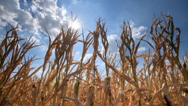 El estudio también muestra que, como comunidad global, podemos gestionar nuestra relación con los sistemas naturales para influir en las futuras condiciones del planeta, y usarlos para nuestro beneficio. (Getty Images)