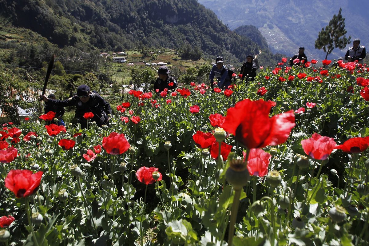 La ley prohíbe a cualquier persona producir o distribuir drogas cuando tiene la intención de enviarla a EE.UU. de forma ilegal. (Foto Prensa Libre: Hemeroteca PL)