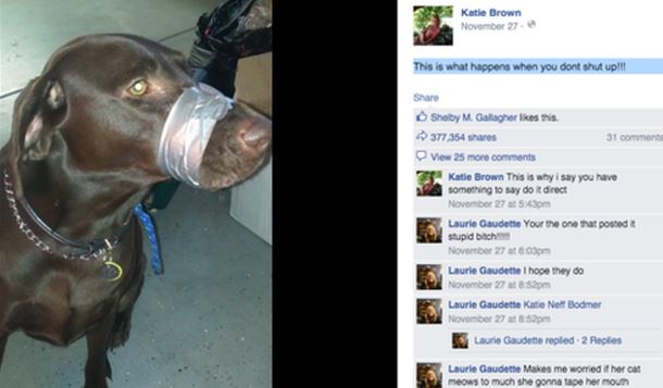 La mujer posteó en Facebook una imagen de su perro con el hocico cubierto con cinta adhesiva. (Foto: Twitter).