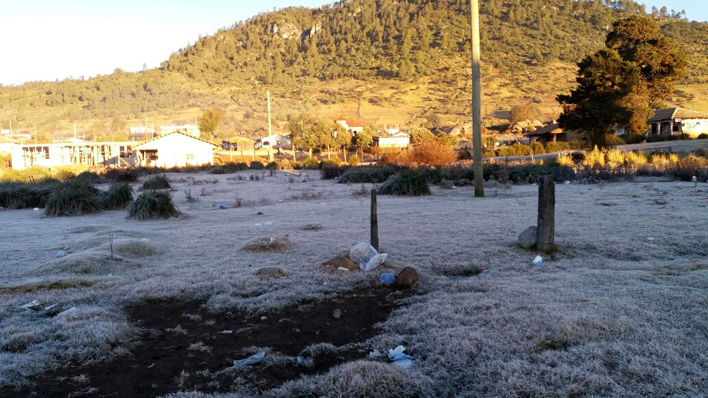 En Todos Santos Cuchumatán, el pasto amaneció con escarcha. (Foto Prensa Libre: Mike Castillo)