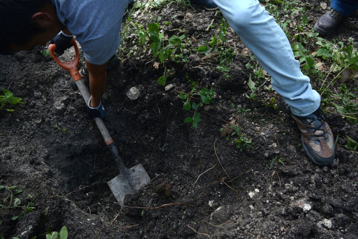 Los cuerpos fueron hallados en dos fosas en el poblado de Carrizalillo, en el estado de Guerrero.(Foto Prensa Libre: EFE).