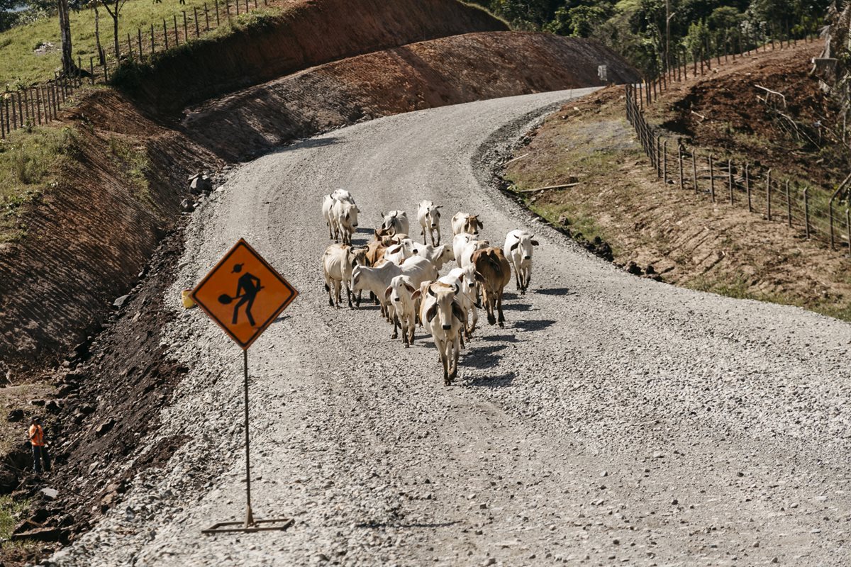 Hombres trabajando. La carretera en pena expansión.